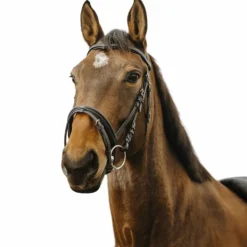 New Norton - Bridon Strass V Noir