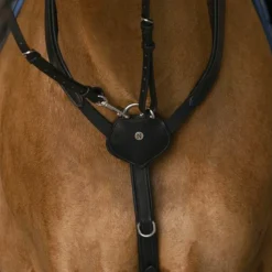 New Norton - Collier de chasse pro Confort Noir