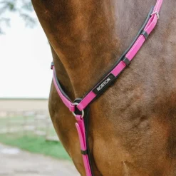 Online Norton - Collier de chasse endurance Pop Rose