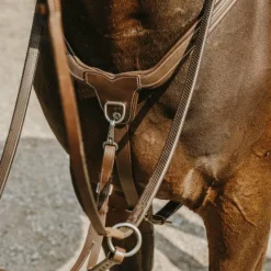 Norton - Collier de chasse 5 points havane Marron