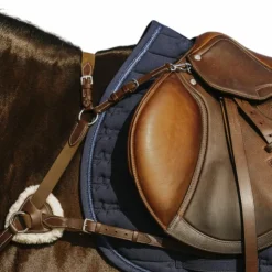 Norton - Collier de chasse 5 points havane Marron