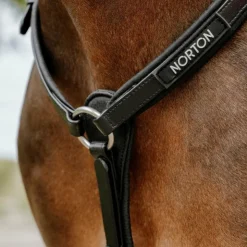 New Norton - Collier de chasse endurance Pop Noir