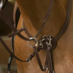 Norton - Collier de chasse pro Confort havane Marron Sale