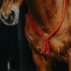 Clearance Norton - Cordelette/ Collier éthologique Marine