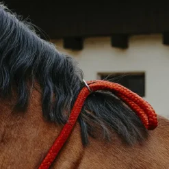 Clearance Norton - Cordelette/ Collier éthologique Marine