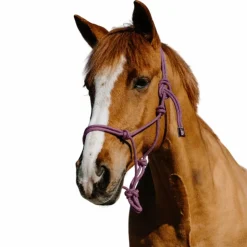 Norton - Ensemble licol éthlogique et longe Duo / noir Rose Best