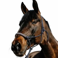 Clearance Norton - Ensemble licol éthlogique et longe Deco / beige Marine