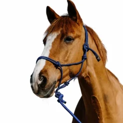 Norton - Ensemble licol éthlogique et longe Duo / noir Bleu Hot