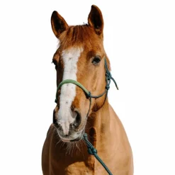 Online Norton - Ensemble licol éthologique et longe Suède foncé/ clair Vert