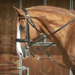 Norton - Gogue à poulies Sale