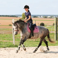 New Norton - Guêtres cheval XTR à boutons mouton marine x2