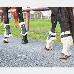 New Norton - Guêtres cheval XTR à boutons mouton marine x2