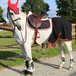 Norton - Guêtres cheval XTR mouton noir x2 Discount