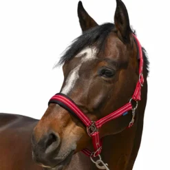 Norton - Licol 4 Lines Rouge Clearance