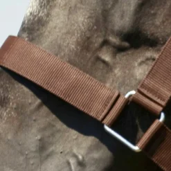 Outlet Norton - Licol cheval de trait brun