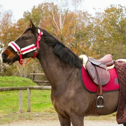 Discount Norton - Licol Confort /bouclerie or rose Bordeaux