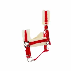 Outlet Norton - Licol Confort rouge/bouclerie argenté