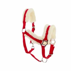 Outlet Norton - Licol Confort rouge/bouclerie argenté