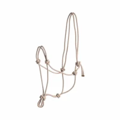 Norton - Licol corde First Beige Online