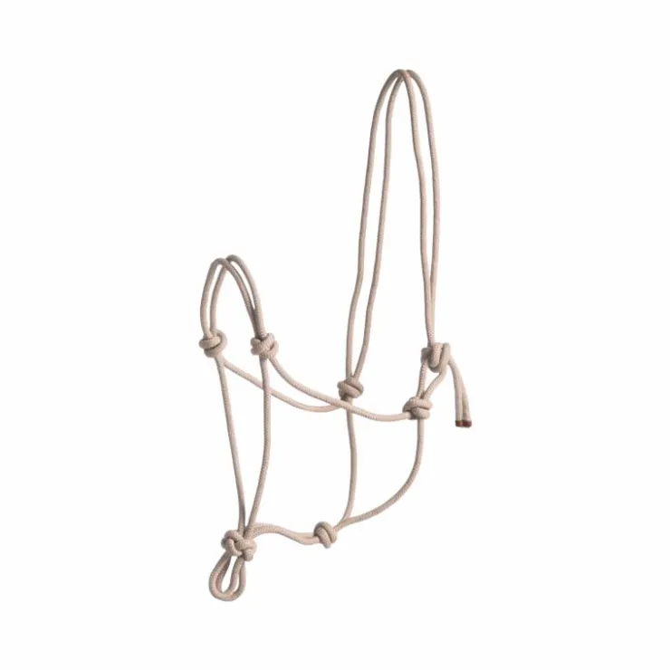 Norton - Licol corde First Beige Online