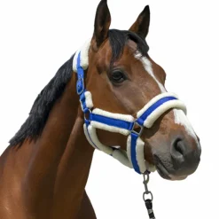 Sale Norton - Licol Cosy roi Bleu