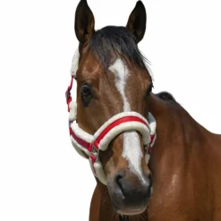 Norton - Licol Cosy Rouge Discount