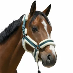 Norton - Licol Cosy foncé Vert Online