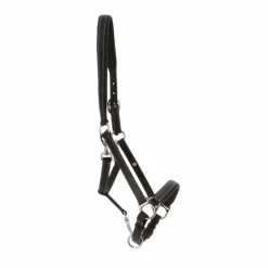 Norton - Licol cuir grooming Noir Outlet