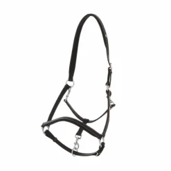 Norton - Licol cuir grooming Noir Outlet