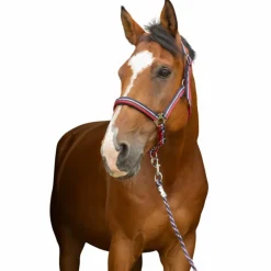 Clearance Norton - Licol et longe brillant / marine/ argenté Rouge