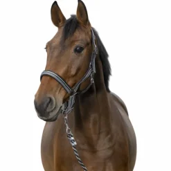 Norton - Licol et longe brillant noir/ gris/ argenté New