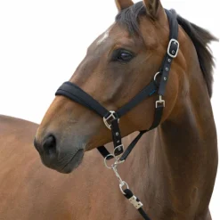 Norton - Licol et longe Large Noir