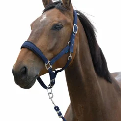 Norton - Licol et longe Large Marine Hot