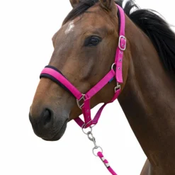 New Norton - Licol et longe Large framboise Rose