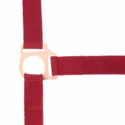 Norton - Licol et longe nylon rose gold/ Bordeaux Clearance