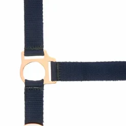 Norton - Licol et longe nylon rose gold/ Marine Discount