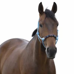 Norton - Licol ethologique pearl bleu Sale