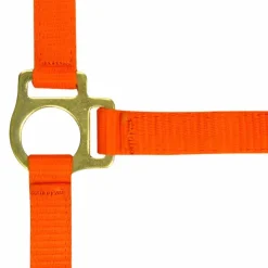 Best Norton - Licol foal + longe orange