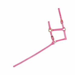 Norton - Licol foal + longe rose Outlet