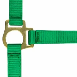 Discount Norton - Licol foal + longe vert foncé