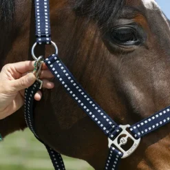 Norton - Licol Grooming Marine Clearance