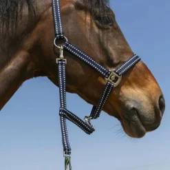 Norton - Licol Grooming Marine Clearance