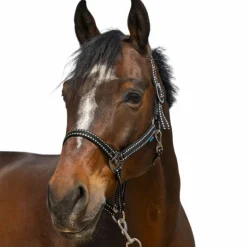 Best Norton - Licol Grooming Noir