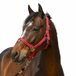 Discount Norton - Licol Grooming Rouge