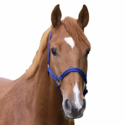 Online Norton - Licol nylon doublé cuir bleu/ noir