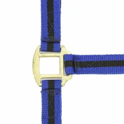 Online Norton - Licol nylon doublé cuir bleu/ noir