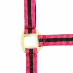 Norton - Licol nylon doublé cuir framboise/ noir Outlet