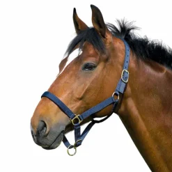 Norton - Licol nylon doublé cuir marine Online