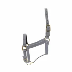 New Norton - Licol nylon doublé cuir gris clair