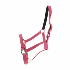 Outlet Norton - Licol nylon doublé cuir fuchsia
